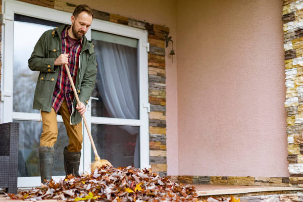 Yard Cleanup Services